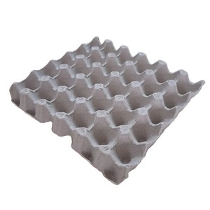 종이 계란판 특란,왕란 30구