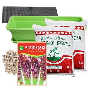 행복한세상 텃밭가꾸기 대 화이트 뚝섬적치마상추