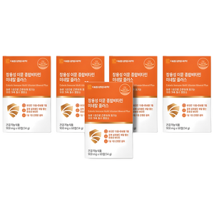 할머니 할아버지 노인 어르신 70대 60대 50대 중년 남성 여성 종합 멀티 비타민 연말 국민 영양제 선물, 5세트, 60정