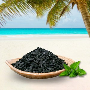 리빙엔터 야자활성탄 1kg부터 10kg 다양한 용량 천연 습기제거 냄새제거 공기정화 숯 실내 탈취제 새집증후군, 10개, 1kg