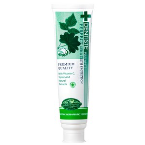 덴티스테 플러스 화이트 치약