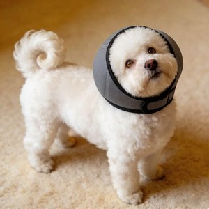 애견 방수 이어캡, 통기성 소음방지 이어캡, 강아지 여름용 수영용품