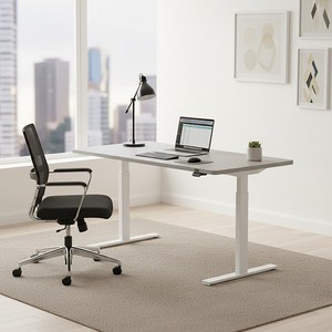 에렉투스 슈퍼매트 듀얼 전동 높이조절 모션데스크 컴퓨터 스탠딩 책상