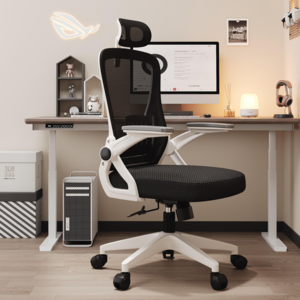 라보토리 사무용 컴퓨터 의자, 블랙B