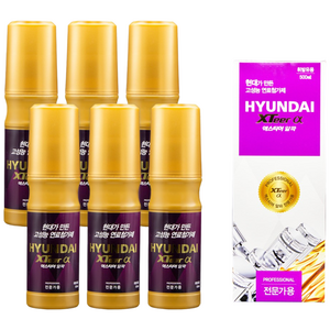 현대 엑스티어 알파프로(전문가용) 가솔린 휘발유 경유 디젤 500ml, 가솔린/휘발유, 6개