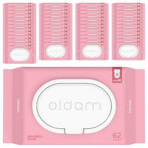 올담 비데 물티슈 캡형, 70g, 62매, 60개