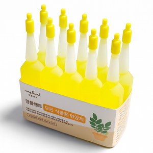 앙플랜트 모든 식물용 식물영양제