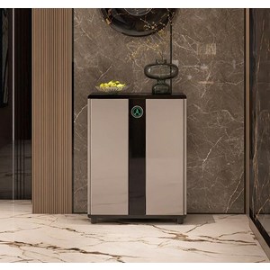 대용량 슈드레서 신발장 소독기 건조 살균 실내 현관 신발 수납 스타일러, 2도어 보조배터리 사용, 일체형