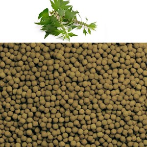 청명 익모초환(국내산 5kg), 5kg, 1개