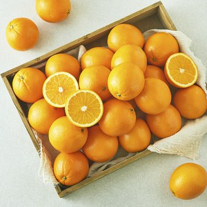 [로켓프레시] 미국산 네이블 오렌지