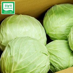 울팜 아삭 달달 국내산 친환경 양배추 제주 무안 밀양