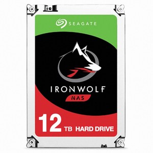 씨게이트 Seagate IronWolf 12TB (ST12000VN0008) - NAS용, 12TB, 단일옵션