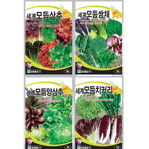 세계 인기 모듬 상추 치커리 양상추 쌈채 씨앗 4종 세트, 1개