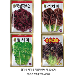 사계절 상추 씨앗 4종 세트, 1개