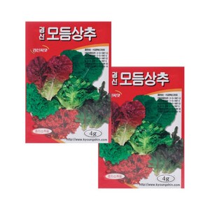 경신종묘 모듬상추씨앗, 2개
