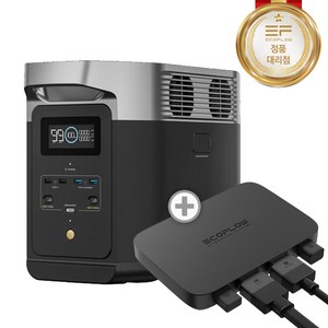 에코플로우 델타2 파워뱅크 배터리 + 주행충전기