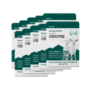 뉴트리티지 산양유단백질 스틱포 분말스틱, 10박스, 300g