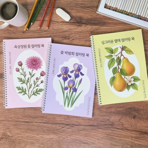 옥상정원 꽃 박람회 싱그러운 열매 컬러링 북 어른 어르신 시니어 색칠공부 색칠하기 성인취미 치매예방 책, 3권, 1세트
