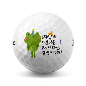 동물캐릭터 손글씨 선물 골프공 로고 인쇄 제작(12구)