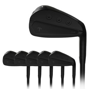 블랙티남성용 허석프로의더카본아이언매트블랙 T-106종세트, 44도, X