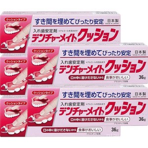 덴쳐메이트 일본 틀니 의치 부착제 쿠션 접착제 36g, 36ml, 5개