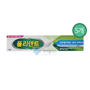 폴리덴트 내추럴 무향 의치부착재 70g 치아 틀니고정 유지 착용감 향상, 5개, 1개입