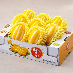 성주 당도선별 참외 로열과 8~12입, 3kg(8~12입), 1박스