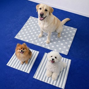 [커버 세탁가능] 냉감 100% 멍보스 강아지 애견 여름 쿨매트 용품