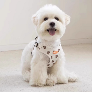펫올웨이즈 강아지 하네스 목잠김 방지 초경량 하네스 리드줄 세트, 화이트