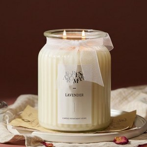 캔들백화점 특대용량 소이 캔들 캔디 향초 1000g 냄새제거 실내방향제, 도손, 1개