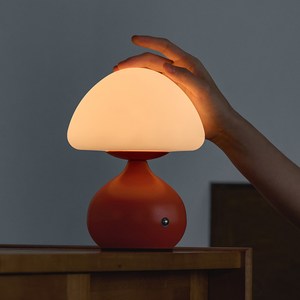 라루즈 Velua 벨루아 포터블 램프 (3colors), 테라 오렌지