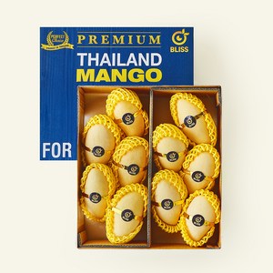 [로켓프레시] 이웃마을 태국산 망고