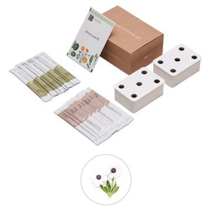 LG전자 틔운 미니용 씨앗키트 세트 오스테오스퍼멈 흰색